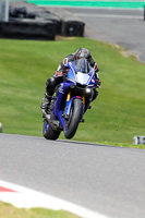 brands-hatch-photographs;brands-no-limits-trackday;cadwell-trackday-photographs;enduro-digital-images;event-digital-images;eventdigitalimages;no-limits-trackdays;peter-wileman-photography;racing-digital-images;trackday-digital-images;trackday-photos